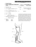 PROSTHETIC LIMB diagram and image