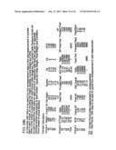 CATTLE MANAGEMENT METHOD AND SYSTEM diagram and image