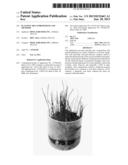 PLANTING MIX COMPOSITIONS AND METHODS diagram and image