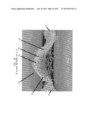 Multi-Ply Wiper/Towel Product With Cellulosic Microfibers diagram and image