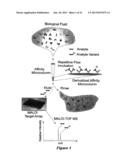 INTEGRATED HIGH THROUGHPUT SYSTEM FOR THE ANALYSIS OF BIOMOLECULES diagram and image