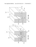 HYBRID CMOS NANOWIRE MESH DEVICE AND FINFET DEVICE diagram and image