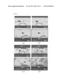 BUMP INCLUDING DIFFUSION BARRIER BI-LAYER AND MANUFACTURING METHOD THEREOF diagram and image