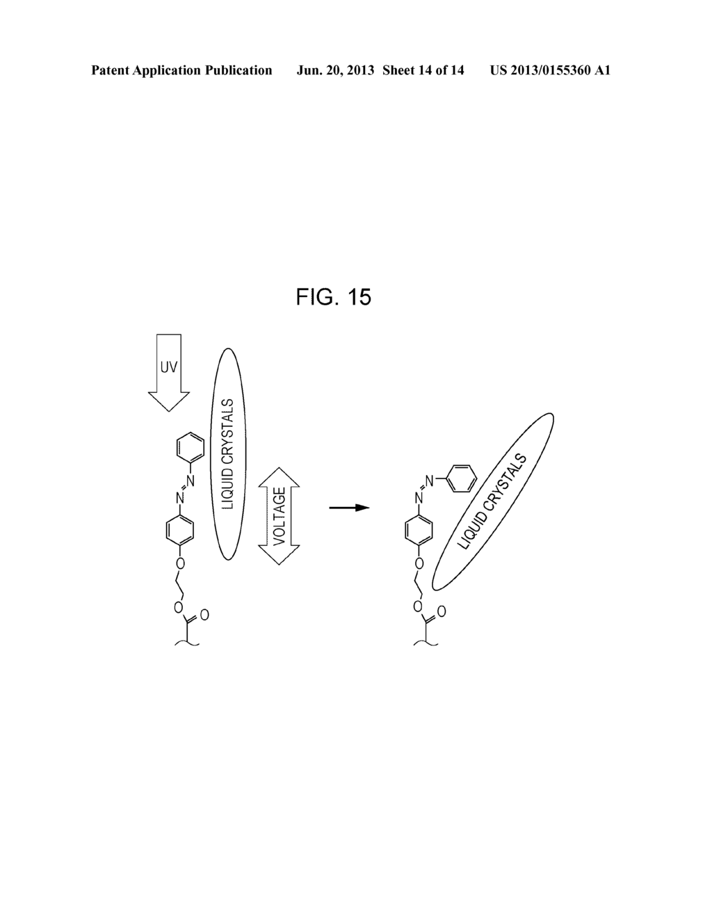 LIQUID CRYSTAL DISPLAY DEVICE AND METHOD OF MANUFACTURING THE SAME - diagram, schematic, and image 15