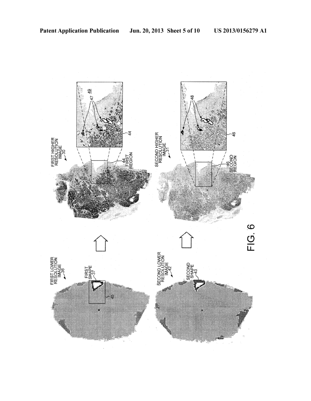 Evaluation of Co-Registered Images of Differently Stained Tissue Slices - diagram, schematic, and image 06