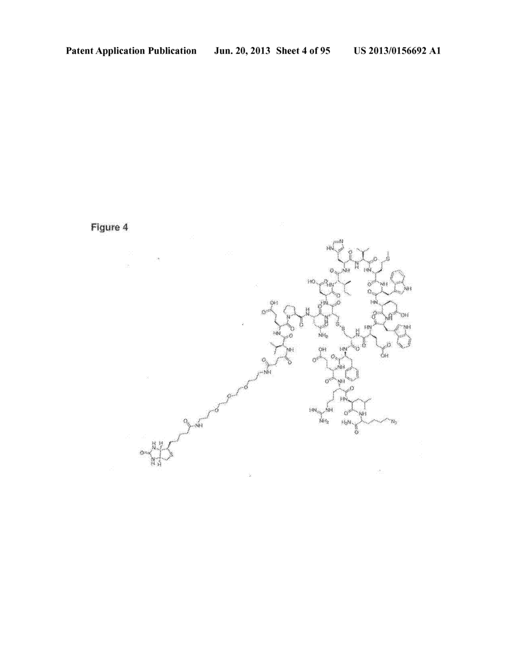 VEGF-SPECIFIC CAPTURE AGENTS, COMPOSITIONS, AND METHODS OF USING AND     MAKING - diagram, schematic, and image 05