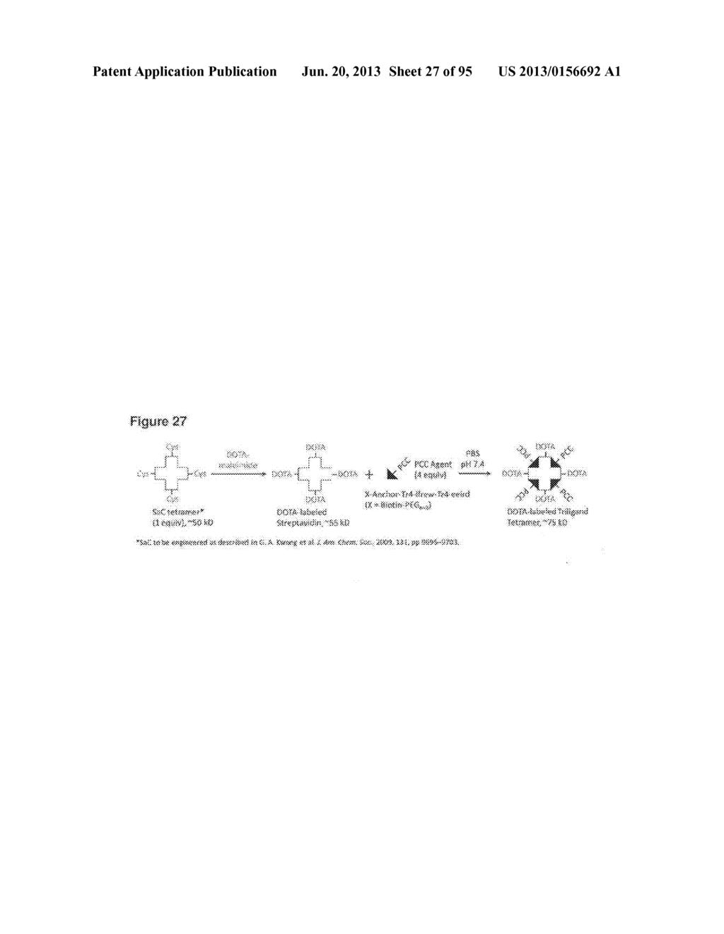 VEGF-SPECIFIC CAPTURE AGENTS, COMPOSITIONS, AND METHODS OF USING AND     MAKING - diagram, schematic, and image 28