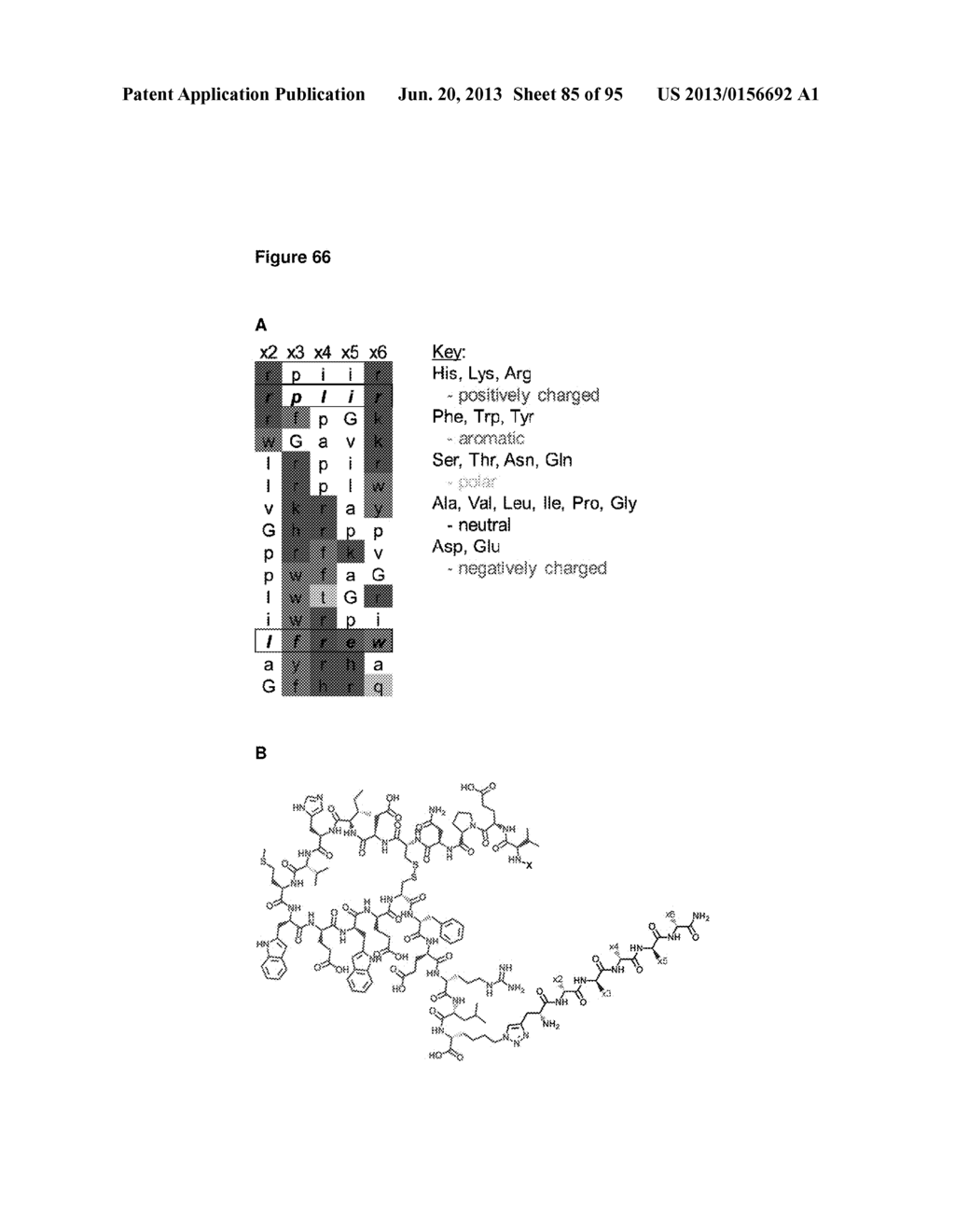 VEGF-SPECIFIC CAPTURE AGENTS, COMPOSITIONS, AND METHODS OF USING AND     MAKING - diagram, schematic, and image 86