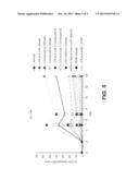 COMBINATION OF ANTI-CTLA4 ANTIBODY WITH BRAF INHIBITORS FOR THE     SYNERGISTIC TREATMENT OF PROLIFERATIVE DISEASES diagram and image