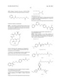 NOVEL ANTIGEN BINDING PROTEINS diagram and image