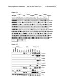 Compositions Using Antibodies Directed To GPNMB And Uses Thereof diagram and image