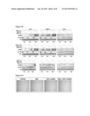 Compositions Using Antibodies Directed To GPNMB And Uses Thereof diagram and image