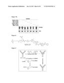 Compositions Using Antibodies Directed To GPNMB And Uses Thereof diagram and image