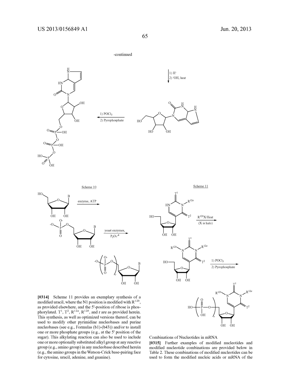 MODIFIED NUCLEOSIDE, NUCLEOTIDE, AND NUCLEIC ACID COMPOSITIONS - diagram, schematic, and image 69