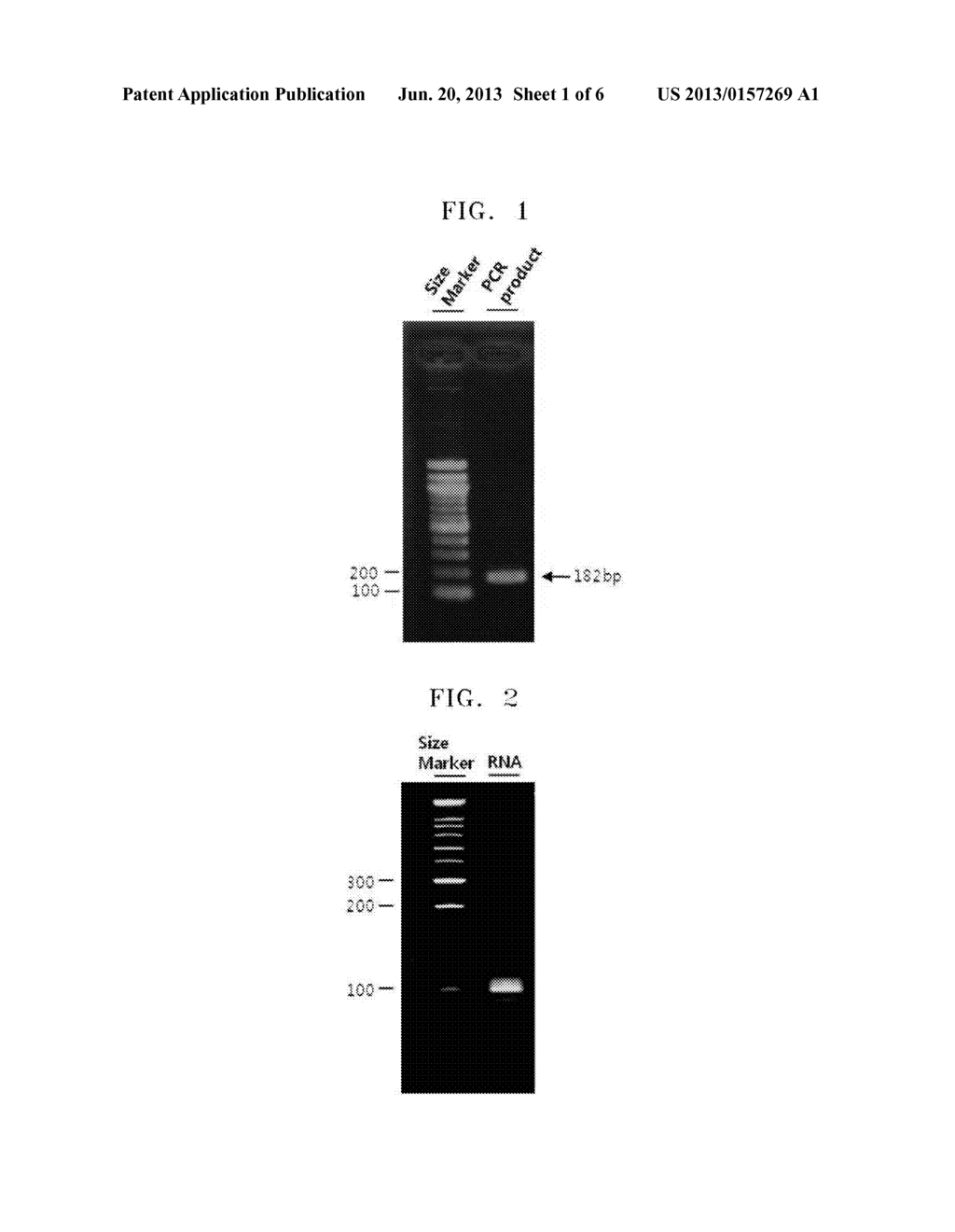 METHOD OF DETERMINING A RATIO OF RNA SPECIES IN A SAMPLE - diagram, schematic, and image 02