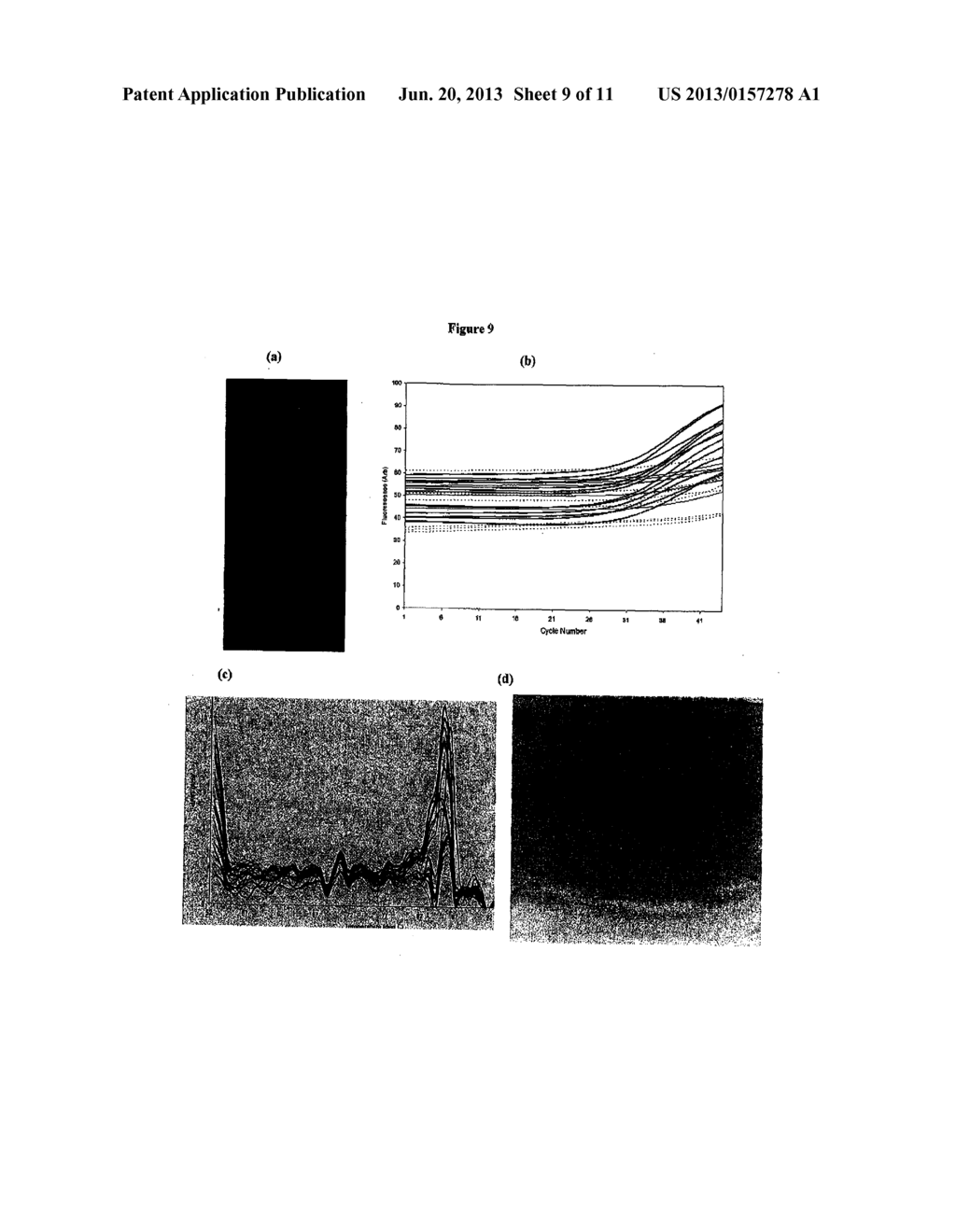 SETTING OF MULTIPLE PRIMING OLIGONUCLEOTIDES FOR SOLID GEL AMPLIFICATION     IN HYDROGELS - diagram, schematic, and image 10