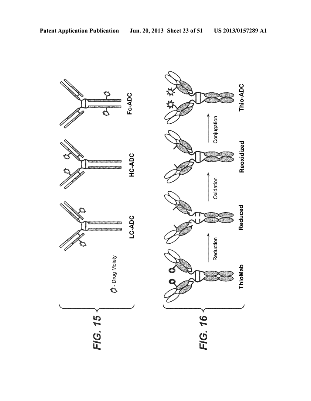 IMMUNO-PET IMAGING OF ANTIBODIES AND IMMUNOCONJUGATES AND USES THEREFOR - diagram, schematic, and image 24