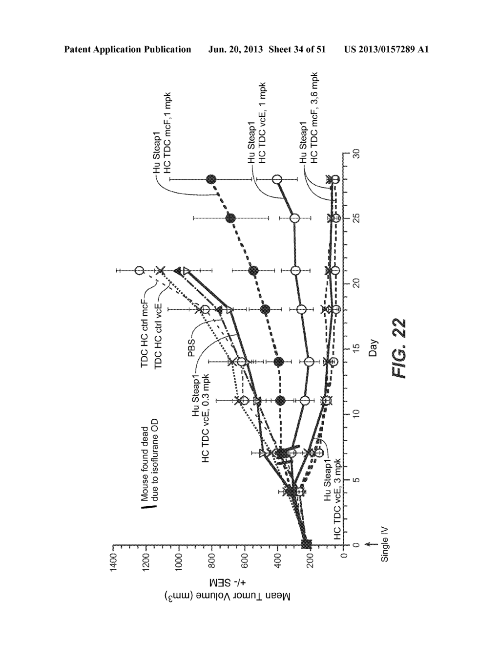 IMMUNO-PET IMAGING OF ANTIBODIES AND IMMUNOCONJUGATES AND USES THEREFOR - diagram, schematic, and image 35