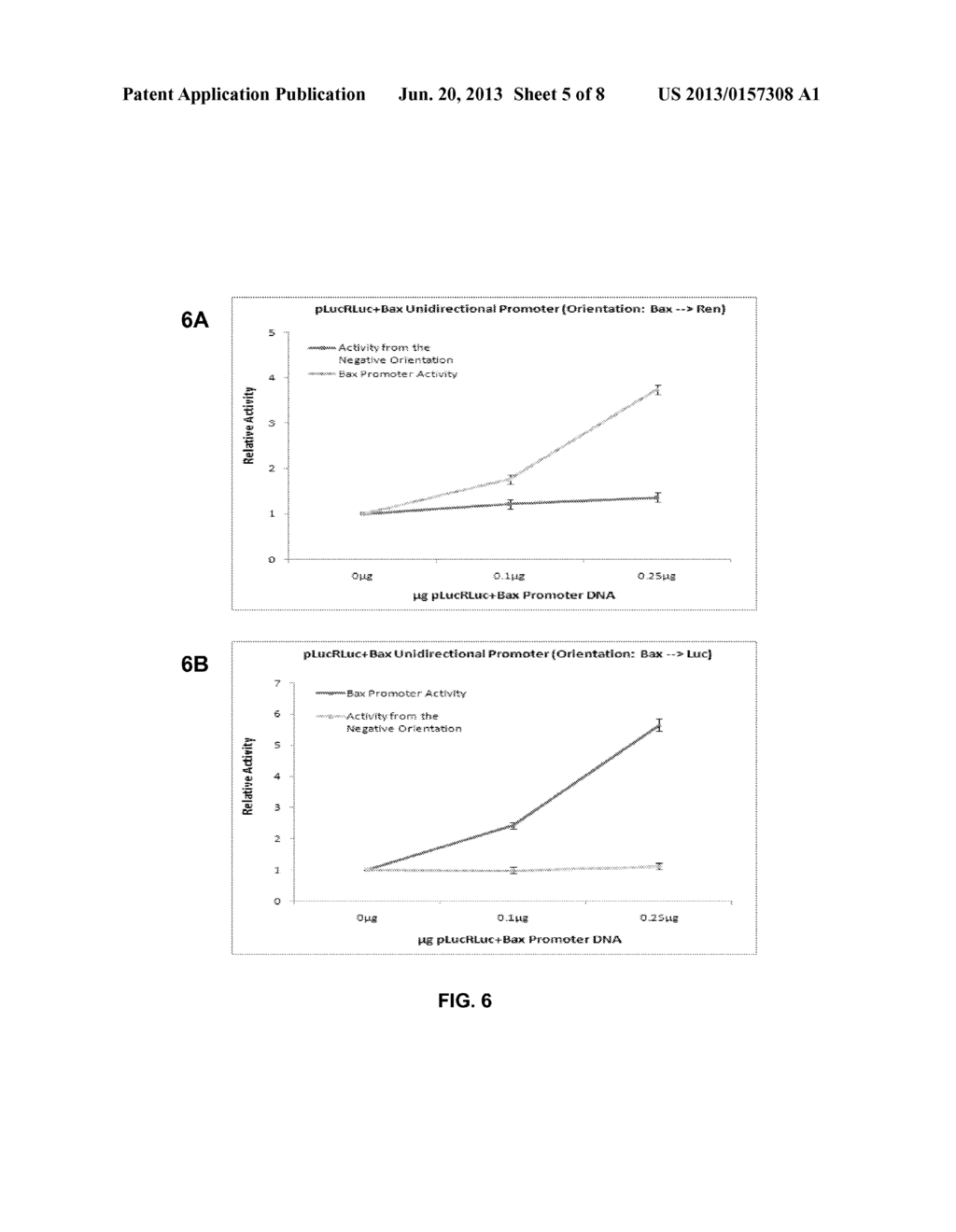 BIDIRECTIONAL PROMOTER REPORTER VECTOR FOR THE ANALYSIS OF DUAL REGULATORY     ELEMENTS - diagram, schematic, and image 06