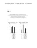 NOVEL INTERGENIC ELEMENTS FOR ENHANCING GENE EXPRESSION diagram and image