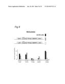 NOVEL INTERGENIC ELEMENTS FOR ENHANCING GENE EXPRESSION diagram and image