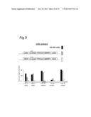 NOVEL INTERGENIC ELEMENTS FOR ENHANCING GENE EXPRESSION diagram and image