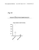 NOVEL INTERGENIC ELEMENTS FOR ENHANCING GENE EXPRESSION diagram and image