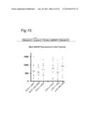 NOVEL INTERGENIC ELEMENTS FOR ENHANCING GENE EXPRESSION diagram and image