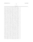 NOVEL INTERGENIC ELEMENTS FOR ENHANCING GENE EXPRESSION diagram and image