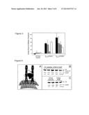 TEMPLATE-DIRECTED ASSEMBLY OF RECEPTOR SIGNALING COMPLEXES diagram and image