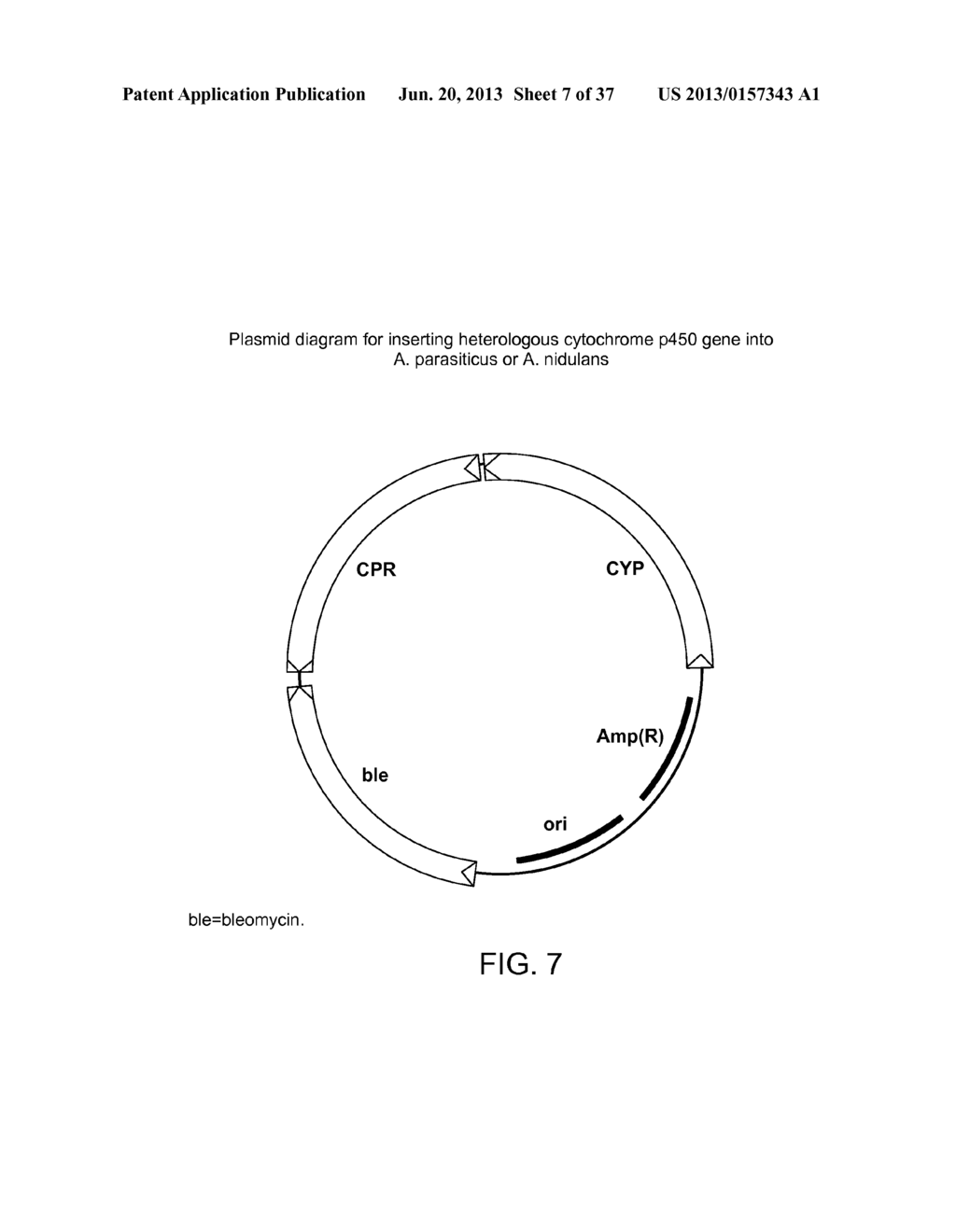 BIOLOGICAL METHODS FOR PREPARING ADIPIC ACID - diagram, schematic, and image 08