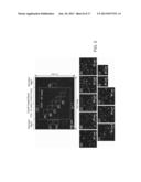 COMPACT WIDE-FIELD FLUORESCENT IMAGING ON A MOBILE DEVICE diagram and image