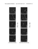 COMPACT WIDE-FIELD FLUORESCENT IMAGING ON A MOBILE DEVICE diagram and image