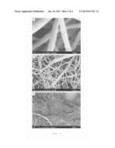 NANOFIBERS WITH EXCELLENT BIODEGRADABILITY AND BIOCOMPATIBILITY AND METHOD     FOR PRODUCING THE SAME diagram and image