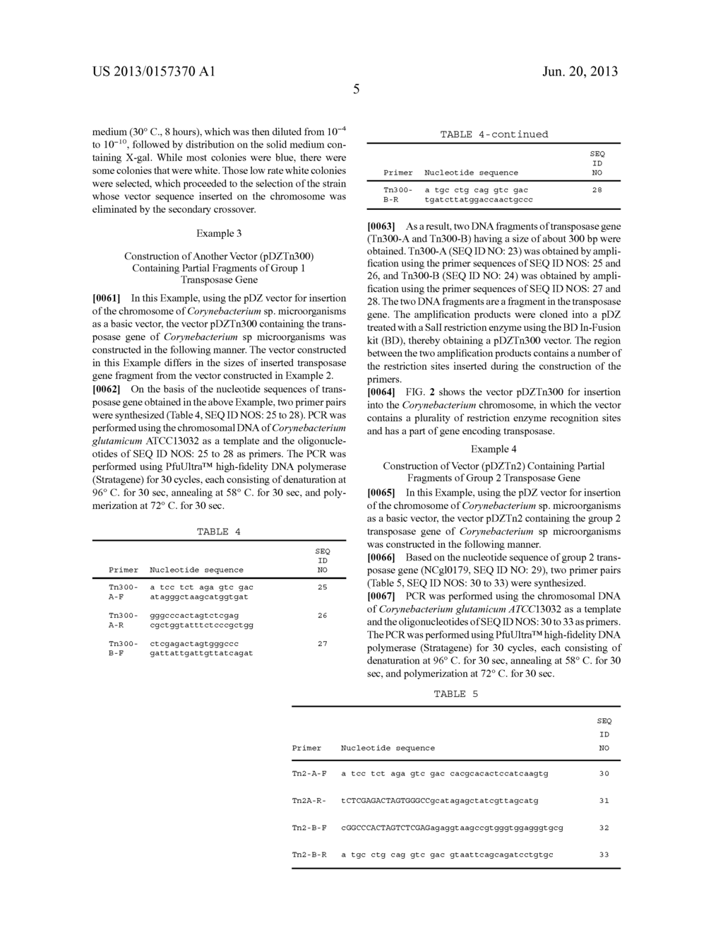 Transformation Vector Comprising Transposon, Microorganisms Transformed     with the Vector, and Method for Producing L-Lysine Using the     Microorganism - diagram, schematic, and image 16