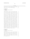 Transformation Vector Comprising Transposon, Microorganisms Transformed     with the Vector, and Method for Producing L-Lysine Using the     Microorganism diagram and image