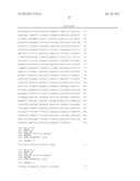 Transformation Vector Comprising Transposon, Microorganisms Transformed     with the Vector, and Method for Producing L-Lysine Using the     Microorganism diagram and image