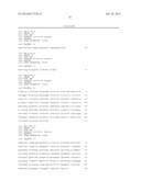 Transformation Vector Comprising Transposon, Microorganisms Transformed     with the Vector, and Method for Producing L-Lysine Using the     Microorganism diagram and image