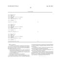 Transformation Vector Comprising Transposon, Microorganisms Transformed     with the Vector, and Method for Producing L-Lysine Using the     Microorganism diagram and image