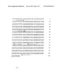 CHIMERIC GENE WITH SEVERAL HERBICIDE TOLERANCE GENES, PLANT CELL AND PLANT     RESISTANT TO SEVERAL HERBICIDES diagram and image