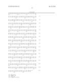 CHIMERIC GENE WITH SEVERAL HERBICIDE TOLERANCE GENES, PLANT CELL AND PLANT     RESISTANT TO SEVERAL HERBICIDES diagram and image