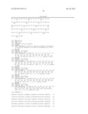 CHIMERIC GENE WITH SEVERAL HERBICIDE TOLERANCE GENES, PLANT CELL AND PLANT     RESISTANT TO SEVERAL HERBICIDES diagram and image