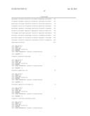 HYBRID CAULIMOVIRUS PROMOTERS AND CONSTRUCTS THEREOF diagram and image