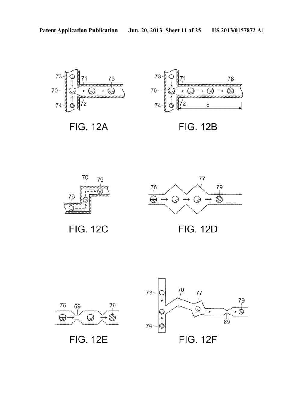 IN VITRO EVOLUTION IN MICROFLUIDIC SYSTEMS - diagram, schematic, and image 12