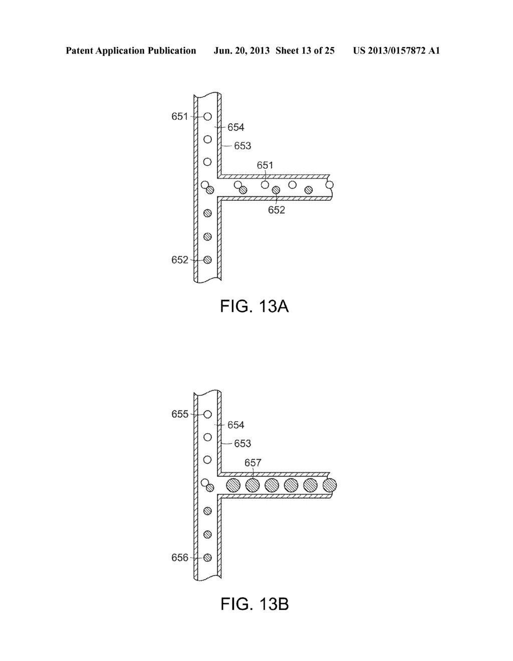 IN VITRO EVOLUTION IN MICROFLUIDIC SYSTEMS - diagram, schematic, and image 14