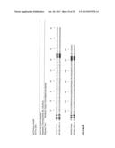 METHOD FOR IDENTIFYING HETERO-MULTIMERIC MODIFIED UBIQUITIN PROTEINS WITH     BINDING CAPABILITY TO LIGANDS diagram and image