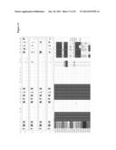 METHOD FOR IDENTIFYING HETERO-MULTIMERIC MODIFIED UBIQUITIN PROTEINS WITH     BINDING CAPABILITY TO LIGANDS diagram and image