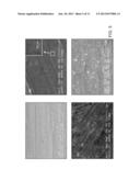 ULTRATHIN CALCINATED FILMS ON A GOLD SURFACE FOR HIGHLY EFFECTIVE LASER     DESORPTION/ IONIZATION OF BIOMOLECULES diagram and image