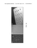 ULTRATHIN CALCINATED FILMS ON A GOLD SURFACE FOR HIGHLY EFFECTIVE LASER     DESORPTION/ IONIZATION OF BIOMOLECULES diagram and image