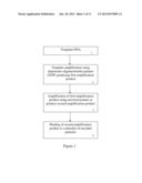 REAGENTS AND METHODS RELATING TO DNA ASSAYS USING AMPLICON PROBES ON     ENCODED PARTICLES diagram and image